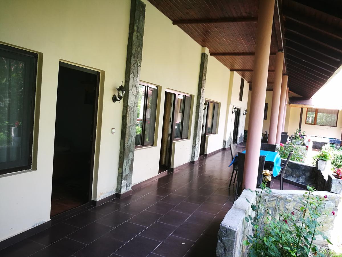 Pensiunea Ramona Carpinisu Luaran gambar