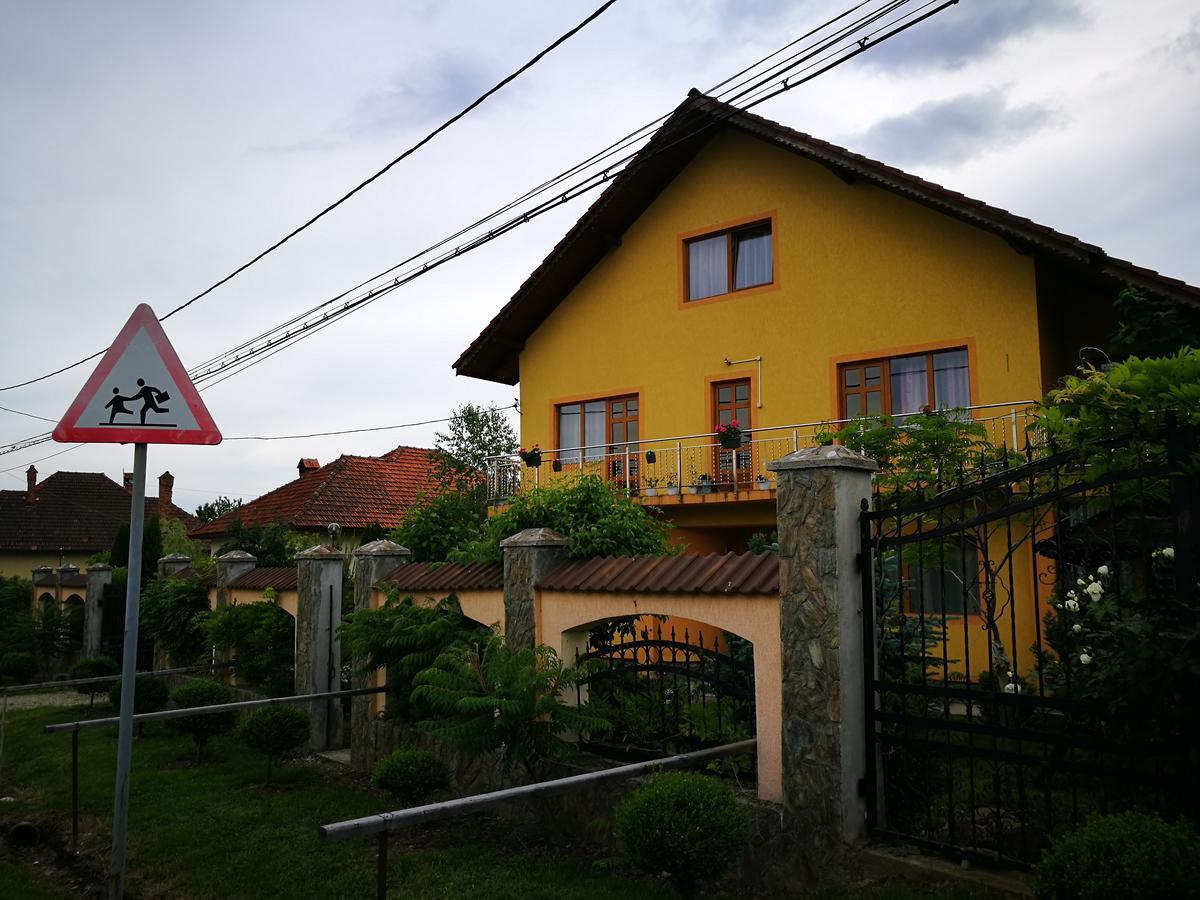 Pensiunea Ramona Carpinisu Luaran gambar